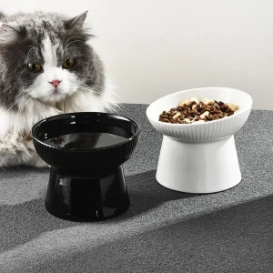 Bol en céramique pour chat, bouche inclinée/plate, bassin d’alimentation créatif pour chien, antidérapant, multi-usage, mangeoire pour animaux de compagnie, chaton, chiot Bol en céramique pour chat, bouche inclinée/plate, bassin d’alimentation créatif pour chien, antidérapant, multi-usage, mangeoire pour animaux de compagnie, chaton, chiot