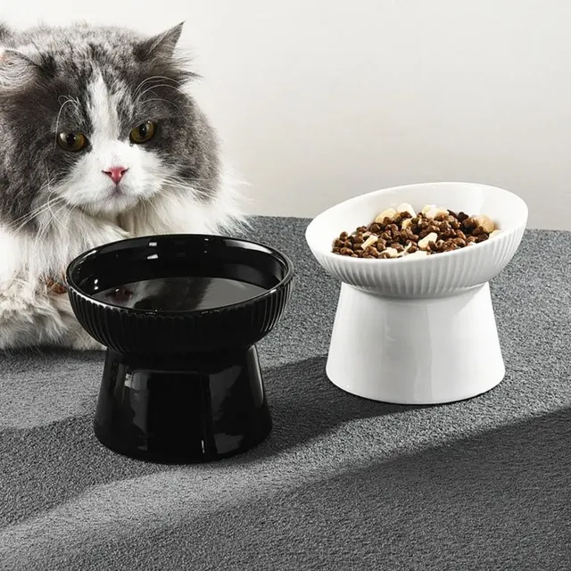 Bol en céramique pour chat