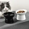 Bol en céramique pour chat – vue 1