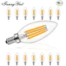 Ampoule Led C35 E14 à intensité variable