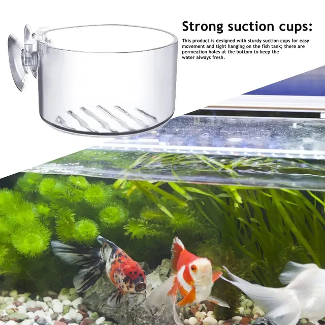 Bassin de tasse d'herbe d'eau bassin d'herbe d'eau… – vue 4