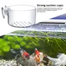 Bassin de tasse d'herbe d'eau bassin d'herbe d'eau… – vue 4