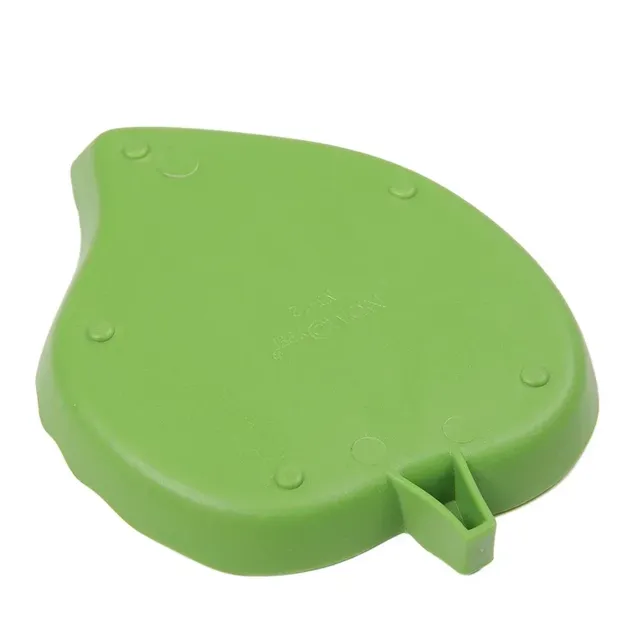 Tortue lézard Reptile bol bassin eau tortue eau Fountai… – vue 6