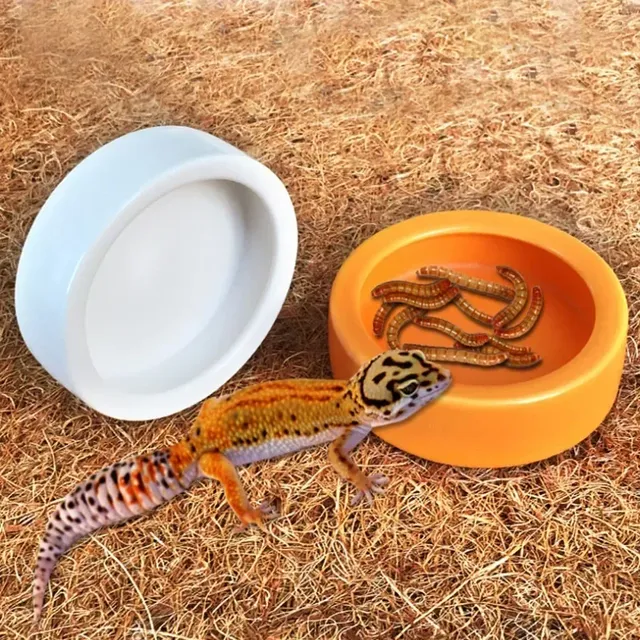 Filles d'Aquarium en Céramique pour Animaux de Compagnie