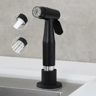 Pommeau de douche en acier inoxydable pour évier de cuisine