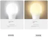 Ampoule LED lampes E27 AC220V 240V ampoule blanc… – vue 3