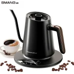 Bouilloire électrique à col de cygne 0,9 l, 1200W, intelligente, contrôlée par température, cafetière infusée à la main, bouilloire à chauffage rapide 220v