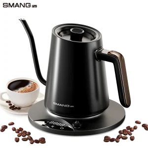 Bouilloire électrique à col de cygne 0,9 l, 1200W, intelligente, contrôlée par température, cafetière infusée à la main, bouilloire à chauffage rapide 220v