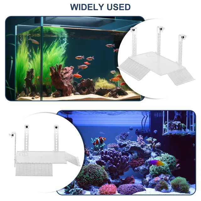 Plate-forme de se prélasser pour tortues en acrylique – vue 6