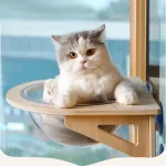 perchoir mural fenêtre chat hamac vitre fixation ventouses bois massif clair acrylique transparent scandinave minimaliste arrondi confortable
