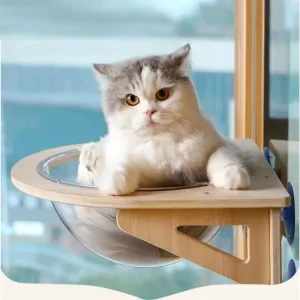 perchoir mural fenêtre chat hamac vitre fixation ventouses bois massif clair acrylique transparent scandinave minimaliste arrondi confortable
