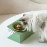 Double bol en céramique pour chat avec support en fer – vue 2