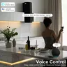 Tuya – vue 4