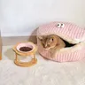 Distributeur de nourriture bol en céramique pour chat – vue 2