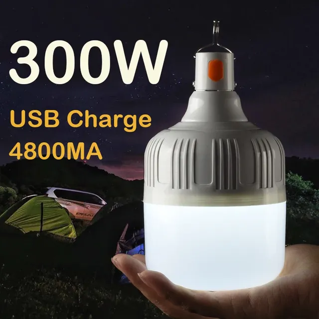 Ampoule LED d'extérieur