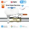 Tuya-Vanne d'eau intelligente pour maison intelligente – vue 1