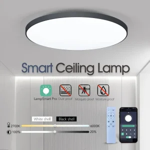 Plafonnier LED intelligent avec télécommande, intensité variable, lampes de plafond modernes, chambre et salon, 36W, 50W, 220V Plafonnier LED intelligent avec télécommande, intensité variable, lampes de plafond modernes, chambre et salon, 36W, 50W, 220V