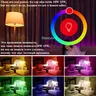 Tuya Smart WiFi Zigbee RGB CCT inda Ampoule LED – vue 6