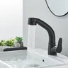 Mitigeur lavabo monocommande douchette extractible… – vue 3