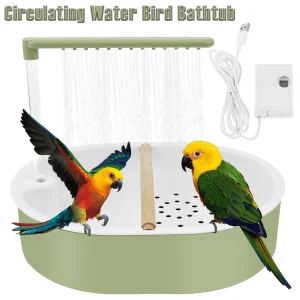 Baignoire électrique automatique à circulation d&rsquo;eau pour oiseaux, USB, Cage de baignoire pour perroquets, douche pour oiseaux, fournitures pour animaux de compagnie, accessoires vert