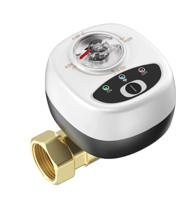 Vanne intelligente pour maison intelligente DN15 DN20 DN25 – vue 6