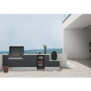 cuisine extérieure modulaire encastrable inoxydable réfrigérateur intégré barbecue évier encastré mobilier anthracite mat façades sanspoignée rangement ergonomique durable