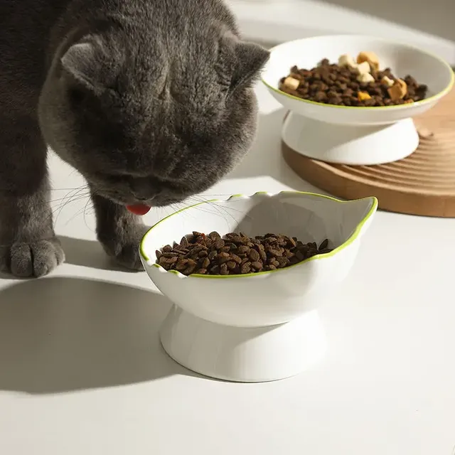 Bol de riz en céramique pour animaux de compagnie – vue 4