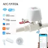 Vanne d&rsquo;eau intelligente WiFi Tuya, contrôleur de gaz, robinet de jardin, minuterie Bluetooth pour Support Alexa Google Assistant Smartlife