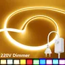 Lumière LED COB à intensité variable 220V – vue 1