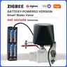 Tuya Zigbee – vue 1