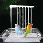 Baignoire automatique pour perroquets et oiseaux, avec plusieurs robinets, douche automatique, pour petit et moyen bain de nettoyage pour perruches