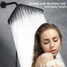Luxueux double pomme de douche combinée – vue 2