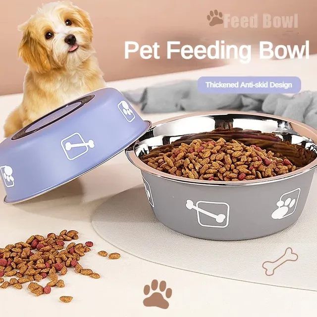 Bol pour animaux de compagnie en acier inoxydable Double…