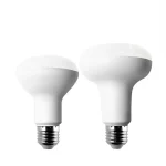 Ampoule LED Blanc Froid et Chaud pour Projecteur, Lampe, R39, R50, R63, R80, 5W, 9W, 12W, 15W, E14, 220V