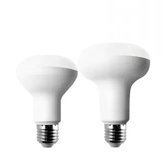 Ampoule LED Blanc Froid et Chaud pour Projecteur