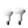 Ampoule LED Blanc Froid et Chaud pour Projecteur – vue 1