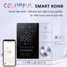 Thermostat à bouton intelligent WiFi