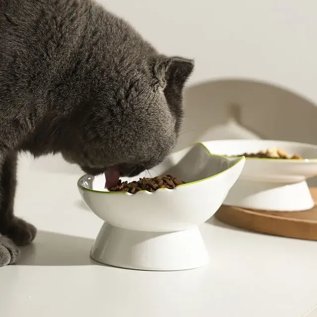 Bol de riz en céramique pour animaux de compagnie – vue 3