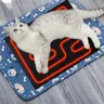 Coussin de siège chauffant pliant USB pour chien/chat – vue 3
