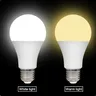Ampoule de secours LED blanche et chaude – vue 3