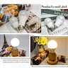 Ampoule LED E14 – vue 4