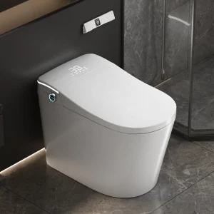 Toilettes intelligentes en céramique de haute qualité, Bidet Intelligent, caractéristiques électriques, télécommande montée au sol pour salle de bain, forme de bol rond Toilettes intelligentes en céramique de haute qualité, Bidet Intelligent, caractéristiques électriques, télécommande montée au sol pour salle de bain, forme de bol rond