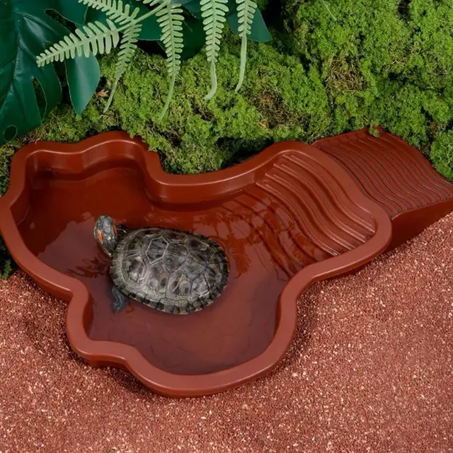 Reptile baignoire piscine Aquarium tortue escalade… – vue 4