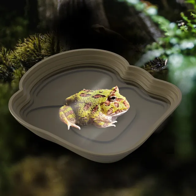 Baignoire tortue grenouille bol eau terrarium vivarium…