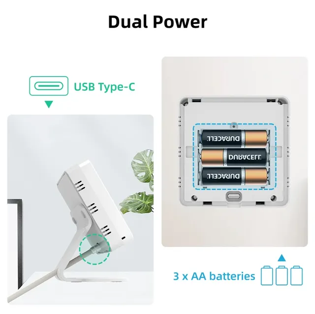 Tuya – vue 6