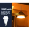 Ampoule intelligente WiFi E27 à intensité variable – vue 6