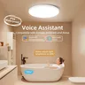 Plafonnier LED RVB Intelligent – vue 5