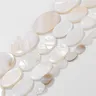 Perles ovales en coquillage naturel pour bijoux – vue 5