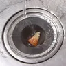 10/1x filtre d'évier en acier inoxydable cuisine salle… – vue 3