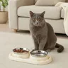 Bol Double en acier inoxydable pour animaux de compagnie – vue 4